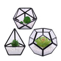 Mini Geometric Terrarium Container Black Glass Flower Pot Planter Vase Bowl Dorm Gift Idea for Women Girls for Garden