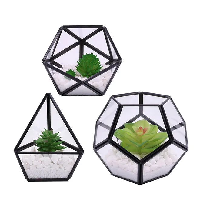 Mini Geometric Terrarium Container Black Glass Flower Pot Planter Vase Bowl Dorm Gift Idea for Women Girls for Garden