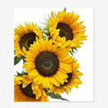 Sunflower Flower Plants Custom 5D Full Drill Rhinestone Mosaic Wholesale Diamond Painting Kits for DIY Diamond Art and Gift