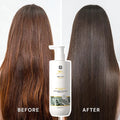 Customize Logo Ekber Gleditsia Sinensis Extract Refreshing Anti-Dandruff Thujaorientalis Hair Care Hydrating Shampoo