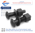 EN14399/ASME High Strength Torsion Shear Type Bolts Black Oxide Carbon Steel/Stainless Steel Screws for Carbon Steel/Stainless