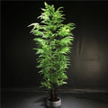 Factory Direct Sales Cheap Large Green Potted Plant Plastic Bonsai Tree High Simulation Artificial Fern Leaves Tree for House