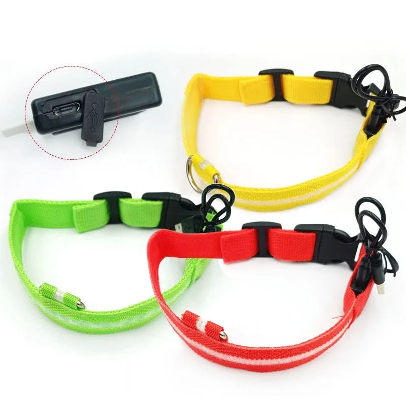 Nylon USB Rechargeable LED Dog Collar Glowing in the Dark Luminous Flashing Light Classic Eco-Friendly for Pet Night Safety
