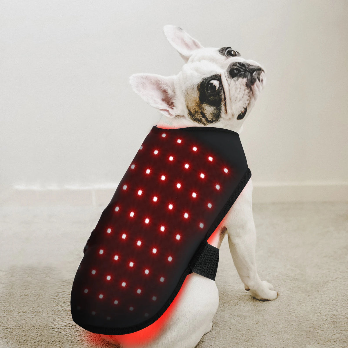 Red Therapy Light Pad for Pain Relief Back Health Care Near Infrared Red Therapy Pad 660nm 850nm for Pet Dog Cat Equipment