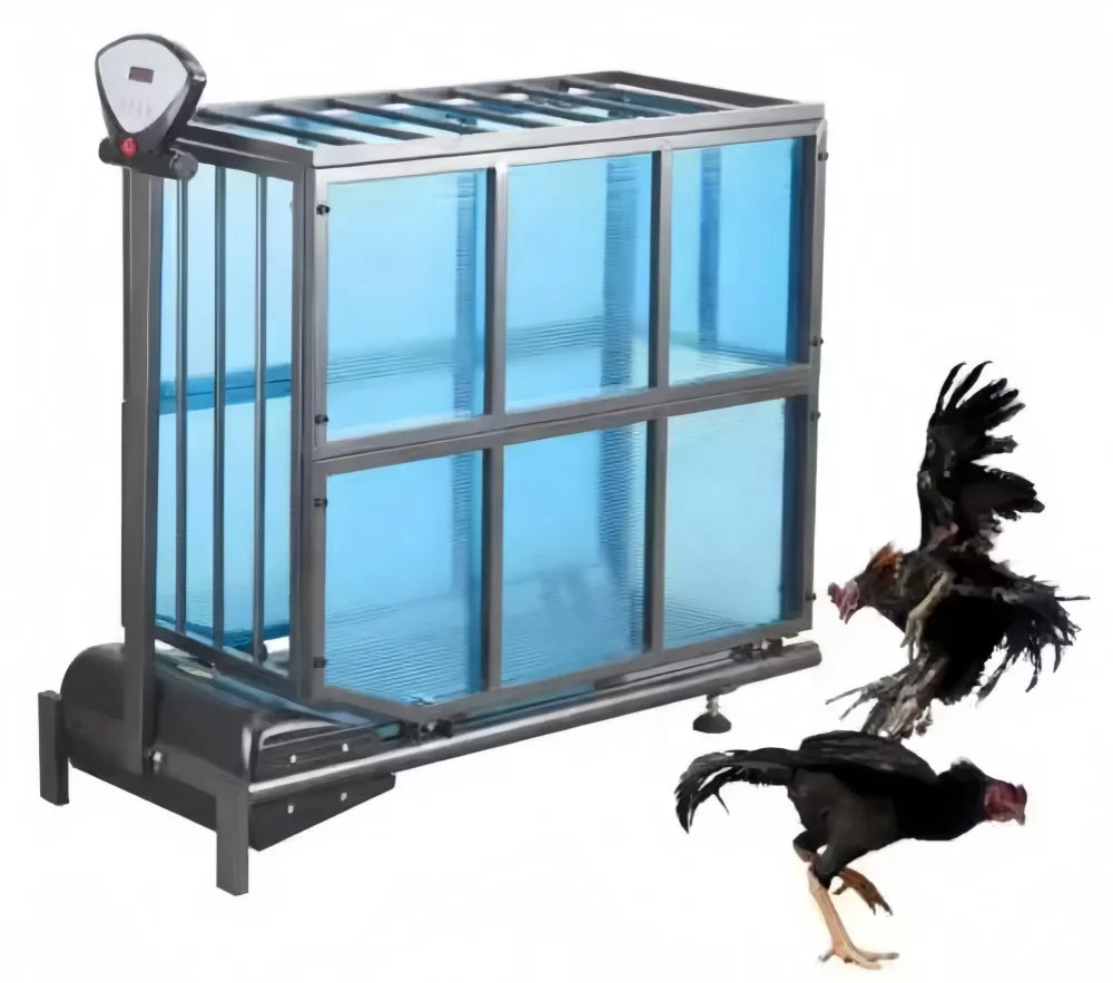 USMILEPET Cock Treadmill Chicken Treadmill for Cock Training Animal Sports Veterinary Instrument Electric Treadmill