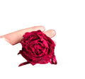 100% Natural Freezing Dried Fragrant Crimson Glory Climbing Rose with Red Flowers
