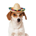 Creative Mini Pet Dogs Straw Hat Mexican Sombrero Cute Hat for Dogs Accessories