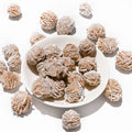 Wholesale Natural Beautiful Quartz Mineral Desert Rose Crystal Stone Meditation Specimen for Gift