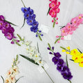 Single Stem 10-Head Gladiolus - Popular for Wedding and Home Decoration MegaBDM