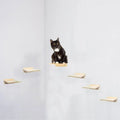 Wooden Cat Climbing Frame with Nest Scratching Post and Jumping Platform Pet Toy for Cat Home