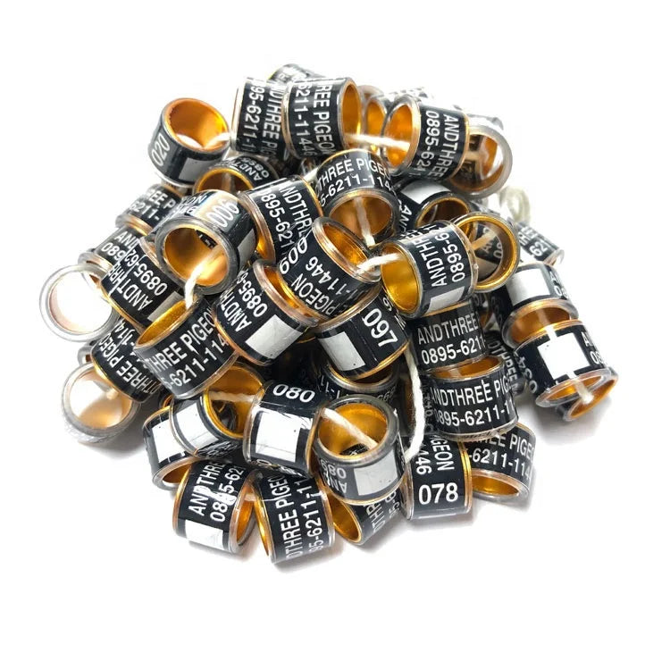 Cheapest Custom Size Personal Bird Ring Plastic Band Pha Pigeon Split Rings Benzing Pigeon Ring Dan