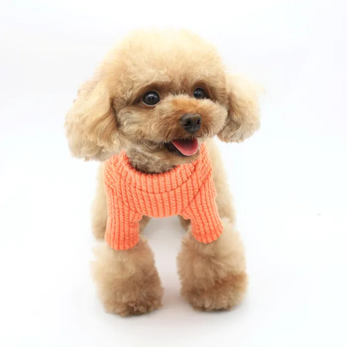 Macaron Cotton Modern Eco-Friendly Spring Winter Fall Pomeranian Yorkshire Small Puppy Cat Pet Clothing Dog Elastic Leggings
