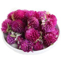 EU Standard Flower Tea  Qian Ri Hong Dried Flower Buds Globe Amaranth Tea
