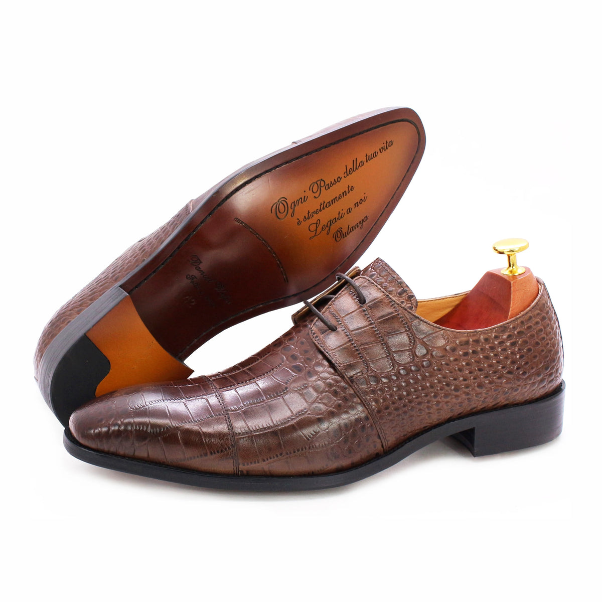 Daniel Wafer Fashion Man Leather Shoes in Italy Brown Shoes for Men