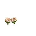 Korean Style Summer Enamel Flower Stud Earrings for Women 2023 Fashion Jewelry Clay Earrings Party Gifts