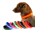 LED Lights Flashing  Dog Pets Collars New Product Polyester in Night  Flashing Popular Necklace Dog Pet Supplies