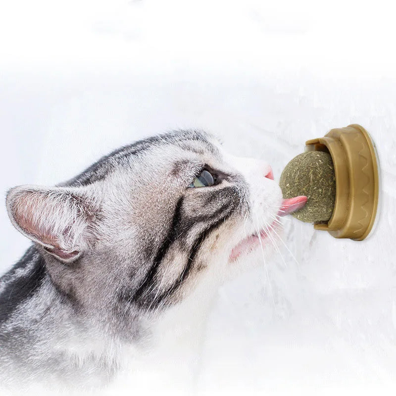Eco-Friendly Luxury Rotatable Catnip Ball Snack Wall Lick Interactive Chew Toy for Cats