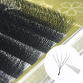 GLAMLASH Korea Fiber Individual Eye Lashes Extension Clover Bloom Handmade Premade 5D W Shape Volume Fans