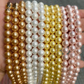 Wholesale Natural Round Matte White Sea Shell Beads for Jewelry Making Shell Bead Necklace Bracelet