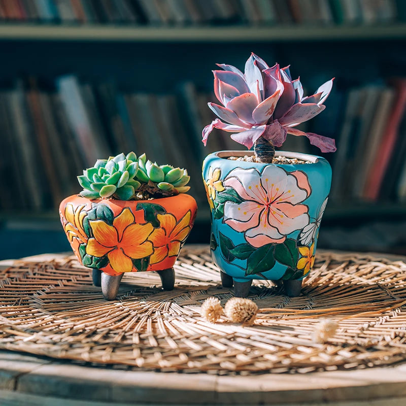 Hand Painted Indoor Ceramic Flowerpot Korean Mini Cute Fleshy Succulent Planter Porcelain Vase for Tabletop Gardening