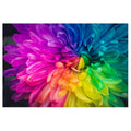 Ever Moment Diamond Painting Colorful Floral 5D DIY Picture Mosaic Full Square Drill S2F955