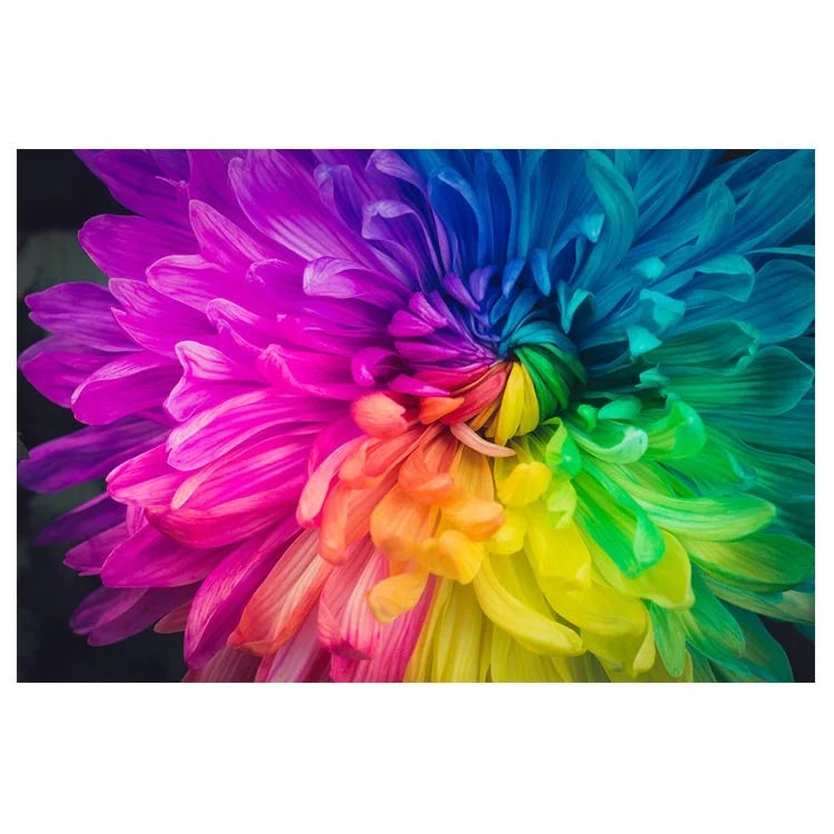 Ever Moment Diamond Painting Colorful Floral 5D DIY Picture Mosaic Full Square Drill S2F955