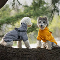 Winter Dog Raincoat Pet Dog Two-Legged Raincoat Small and Medium Dog Jacket Pet Clothing
