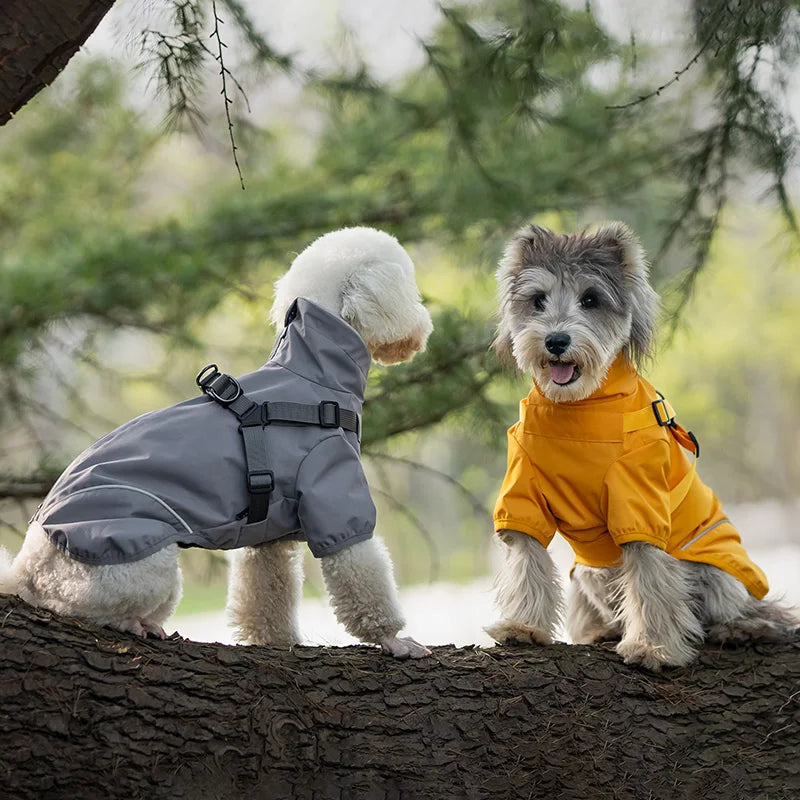 Winter Dog Raincoat Pet Dog Two-Legged Raincoat Small and Medium Dog Jacket Pet Clothing