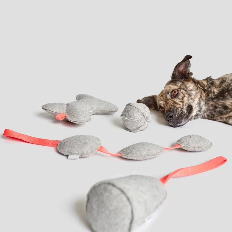 Creative Felt Dog Toys Interactive Custom Pet Dog Plush Toy New Dog Toy