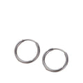 2025 Hypoallergenic Lightweight Pure Titanium Men's and Women's Earrings