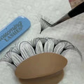 Flourishing Lashes Mega Volume Natural Long Korean PBT Fibers Handmade Matte Black Super Soft Easy Fan Eyelash Extensions Rapid