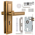 DoorShine Luxury Quality 9-Inch Modern Mortise Long Plate Lock Handle Sets Zinc Brass Straight Lever Door Knob for Interior Door