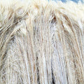 Natural Peacock Eye Dyed Feathers for Sale Party Carnival Home Wedding Centerpiece Xmas Vase Holiday Decor DIY Floral Craft
