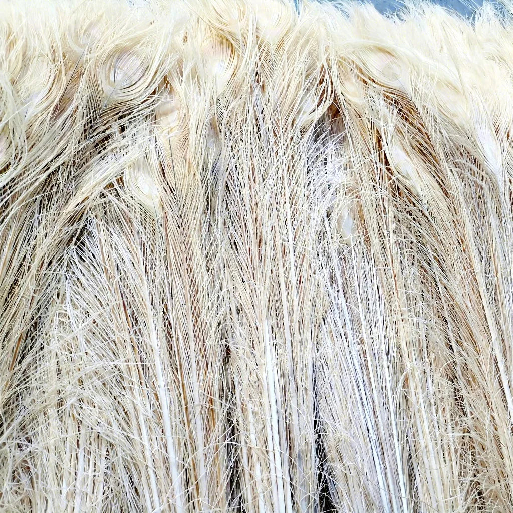 Natural Peacock Eye Dyed Feathers for Sale Party Carnival Home Wedding Centerpiece Xmas Vase Holiday Decor DIY Floral Craft