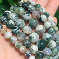 Wholesale 4/6/8/10/12mm Round Smooth Natural Semi Gemstone Tree Agate Loose Stone Beads for Necklace Bracelet Earring Making