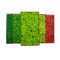 Wholesale Last 5 Years Green Wall Real Natural Stabilized Preserved Decorative Moss Bun Pillow Cushion Pole Moss