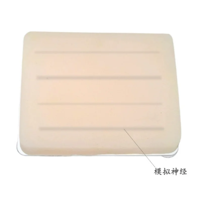 Ultrasound-guided Nerve Block Injection Training Module B-ultrasound Nerve Injection Training