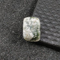 HZ Natural Crystal Healing Stones Box Fossiles Tumbled Stone Crystals Moss Agates Specimen for Education Home Decors