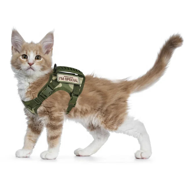 Small Pet Cat Dog Vest Adjustable Tactical Pet Training Harness Small Pet Cat Dog Harness with Two Patches