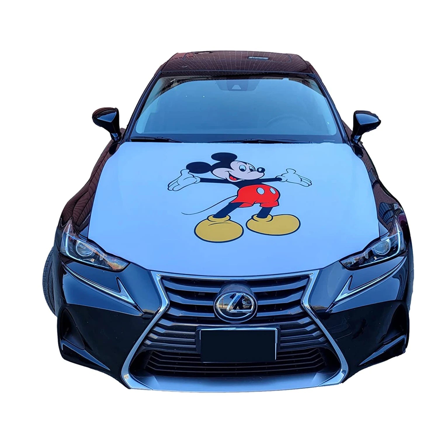 Promotional Product Car Hood Flags 120x160cm Custom  Mouse Car Flag Hood Cover