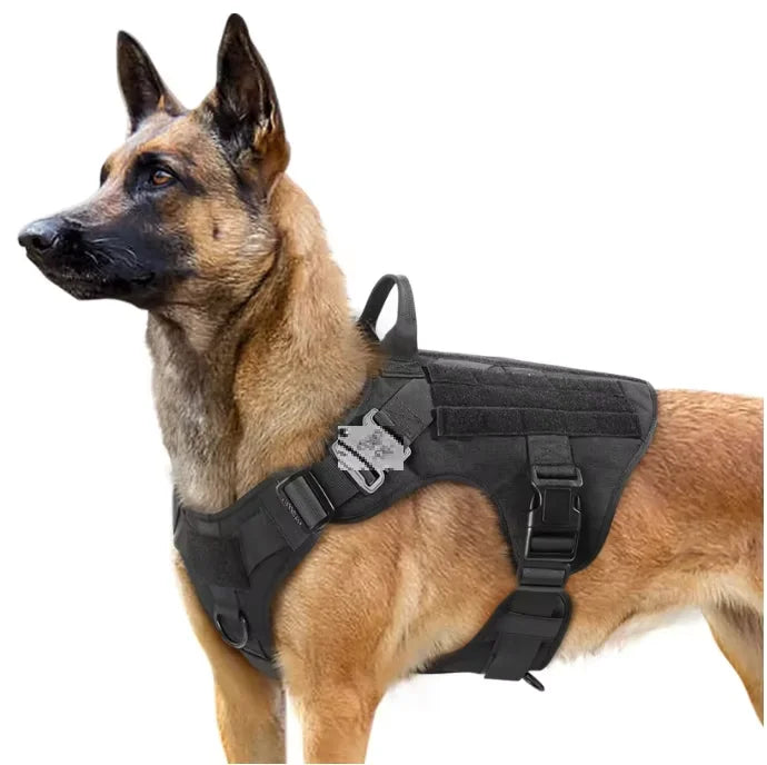 Personalized Dog Harness No Pull Breathable Pet Harness Vest for Small Large Dog Service Dog Vest Harness MegaBDM