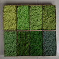 HFlora Wholesale Best Price Decorative Preserved Reindeer Core Moss Multiple Color for Home Interior Renovation