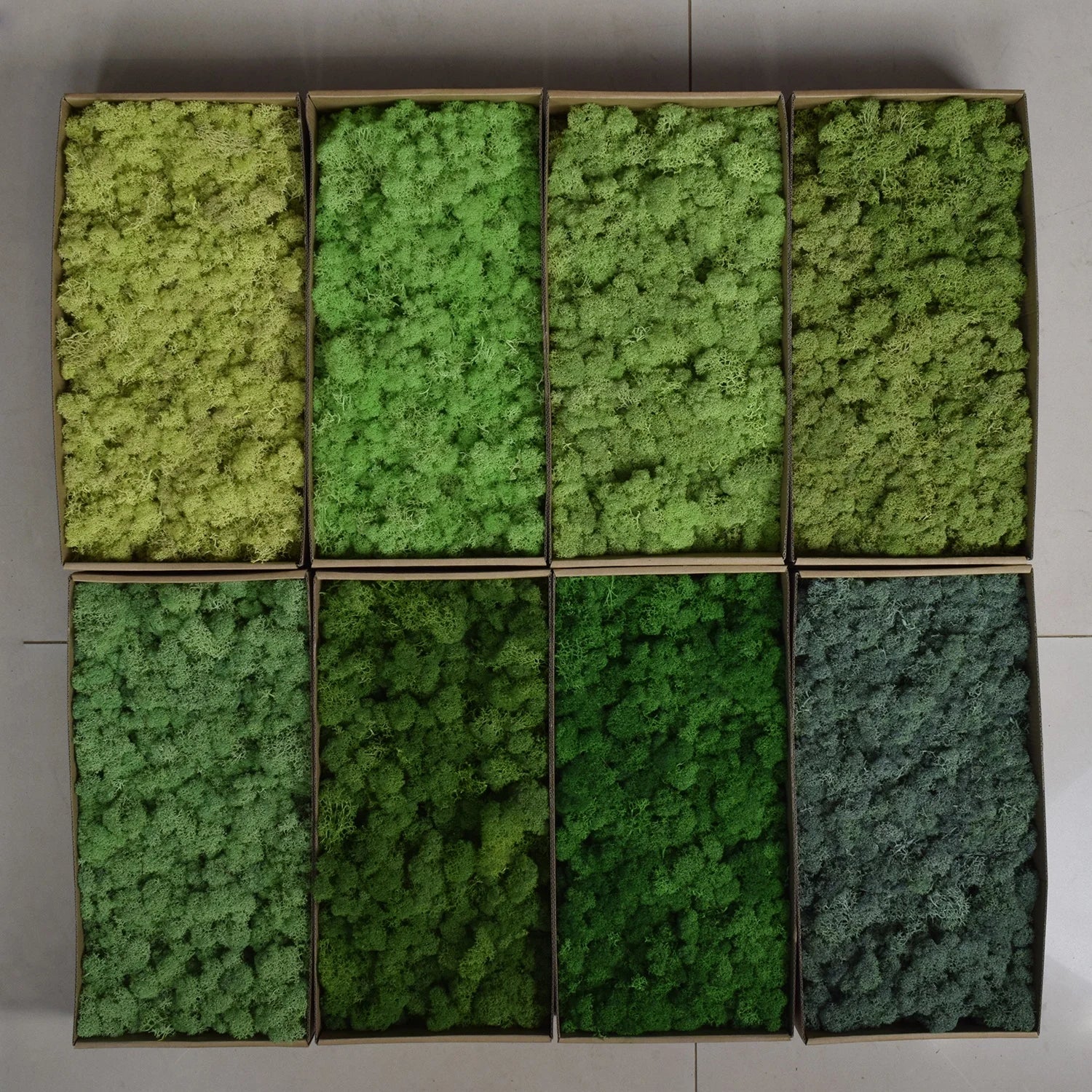 HFlora Wholesale Best Price Decorative Preserved Reindeer Core Moss Multiple Color for Home Interior Renovation
