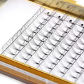 Flourishing Lashes Eyelash Extension  Premade Volume Fans  3d 4d 5d 6d 10d Individual Volume Lashes Extension