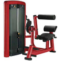 Xinrui Dual Functions Abdominal Crunch and Back Extension Machine Commercial Gym Equipment Strength Fitness