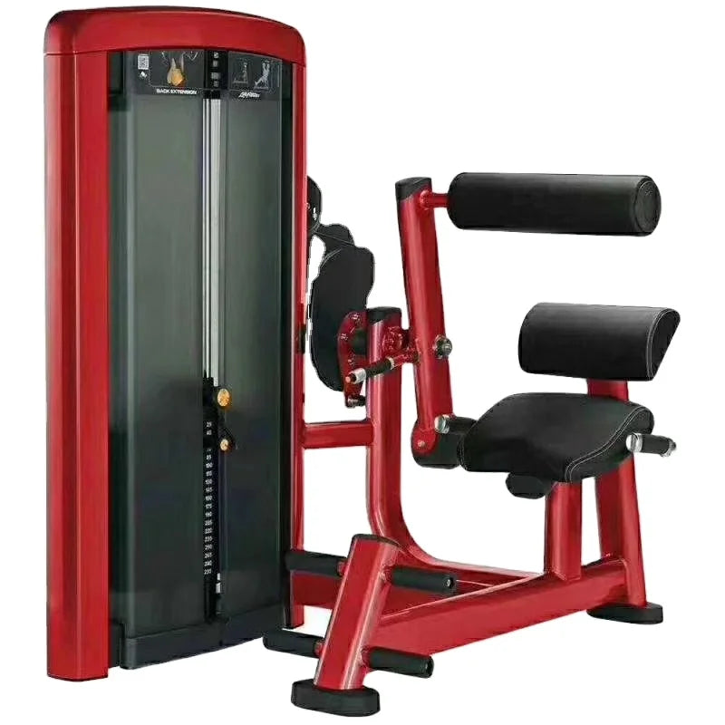 Xinrui Dual Functions Abdominal Crunch and Back Extension Machine Commercial Gym Equipment Strength Fitness