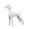 Pet Simulation Hair Grooming Dog Model Practice Dog Standard Model Dog Full Body Hair