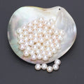 Wholesale Small Size 2-11.5 mm Natural Round Pearls 3a High Luster Loose Natural Freshwater Pearl Beads for Necklace