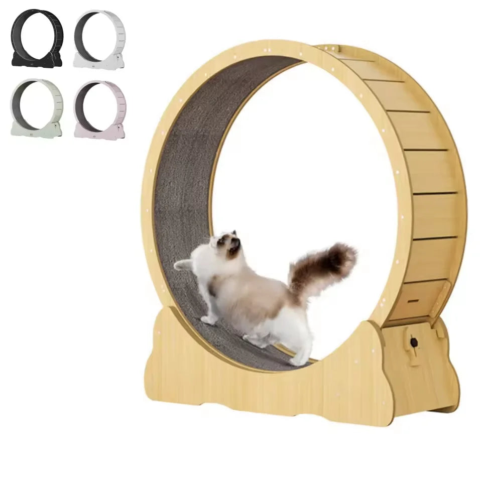 OEM ODM Interactive Wooden Exercise Wheel for Pet Dogs and Cats Fiber Board Fun Treadmill Toy With Mascotas Cat Running Feature
