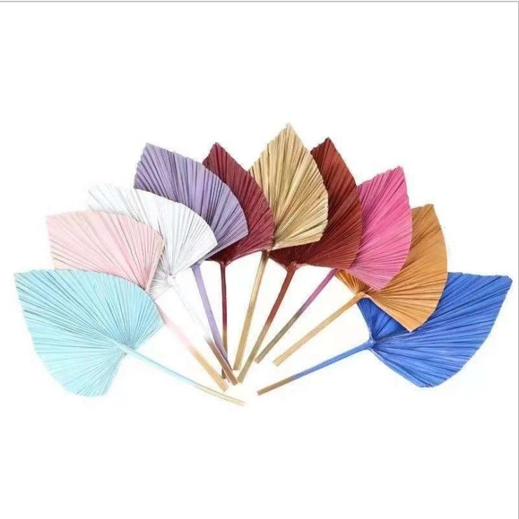Every Love Multiple Shapes Hot Sale Factory Price Natural Processed Dried Palm Leaves for Wedding Clothes Shop Decoration
